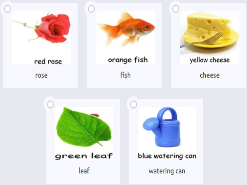 rose fish cheese leaf watering can puzzle