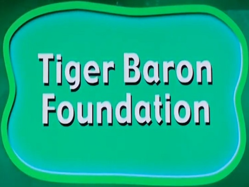 tiger baron foundation puzzle