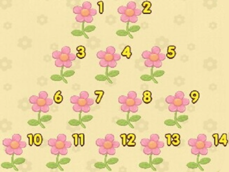 fourteen flowers puzzle