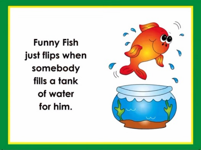 funny fish just flips when somebody fills tank of water for him puzzle