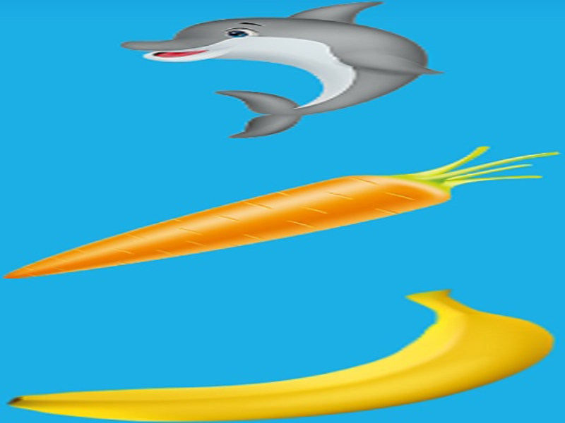 dolphin carrot banana puzzle