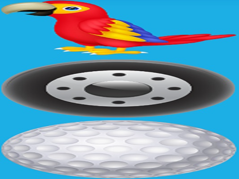 macaw tire golf ball puzzle