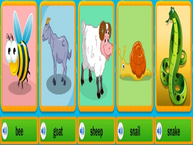 bee goat sheep snail snake puzzle