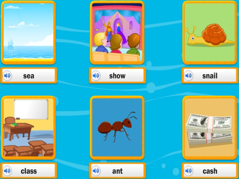 sea show snail class ant cash puzzle