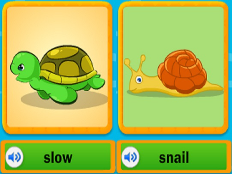 slow snail puzzle