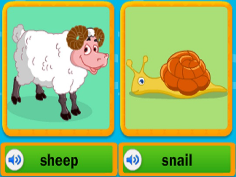 sheep snail puzzle