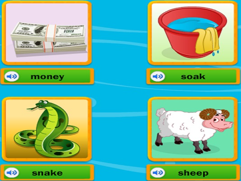 money soak snake sheep puzzle