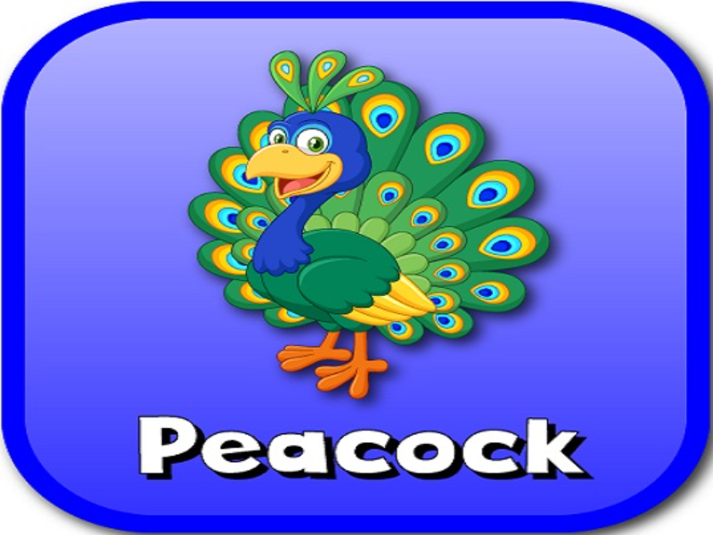 peacock puzzle