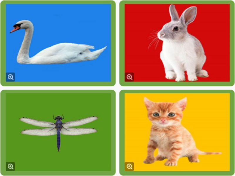 swan rabbit dragonfly kitten puzzle