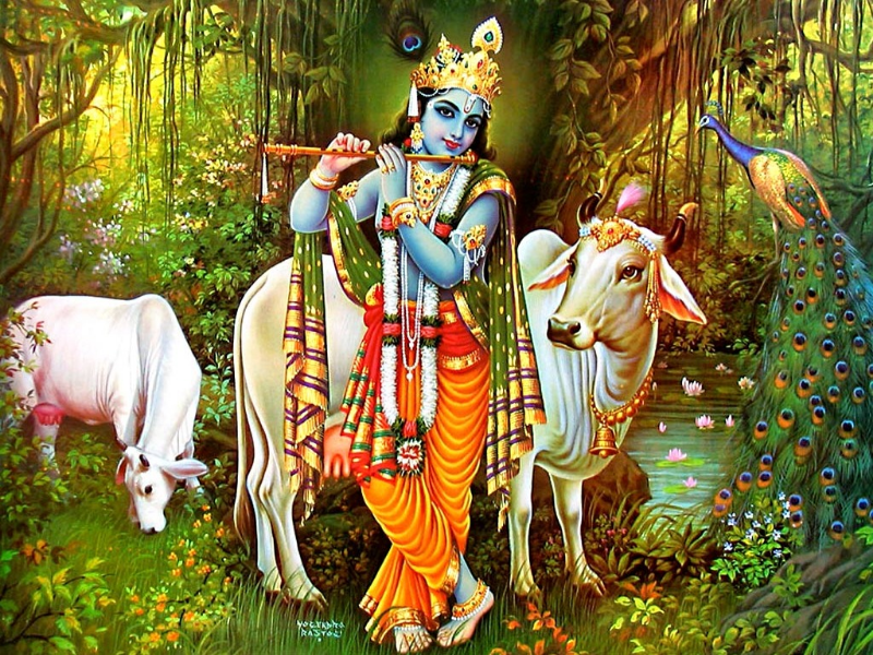 Krishna puzzle