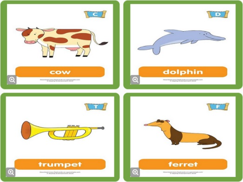 cow dolphin trumpet ferret puzzle