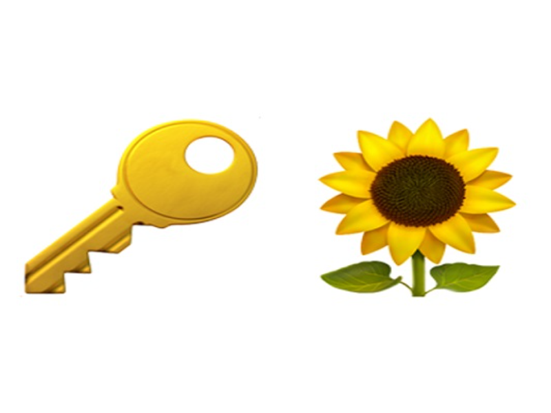 key sunflower puzzle