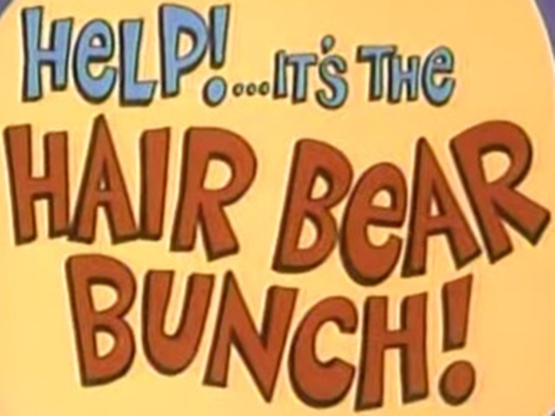 help hair bear bunch puzzle